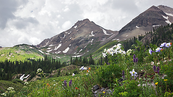 Landscape Photo
